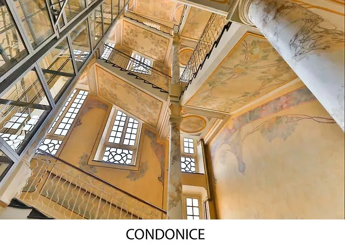 Condonice Nice