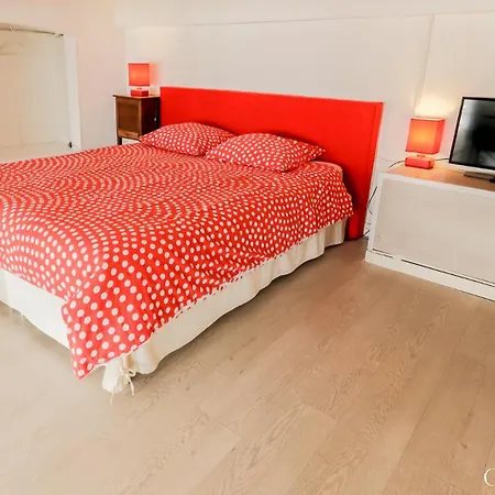 Apartment Condonice Nice