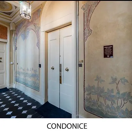 Condonice * Nice